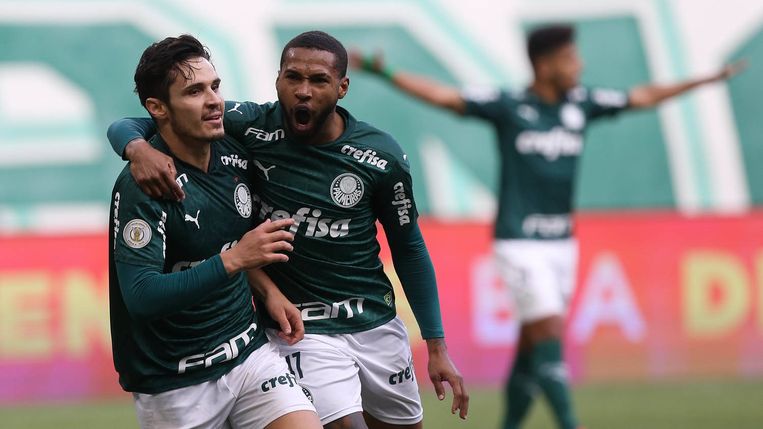 Palmeiras. Foto: Cesar Greco