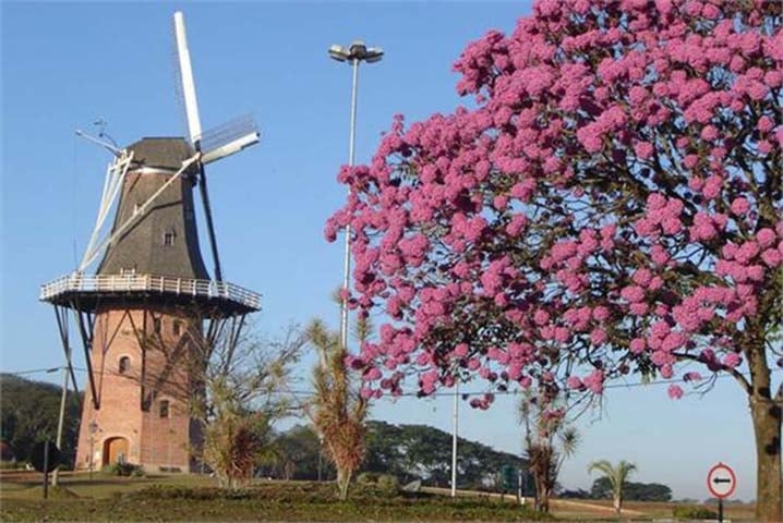 Os moinhos são uma das instalações mais representativas da Holanda. Tanto que há mais de 950 dessas estruturas no país. Inicialmente foram projetados para moer grãos, mas ganharam outras funcionalidades como bombear água para fora dos lagos. Veja os principais moinhos da Holanda.  Reprodução: Flipar