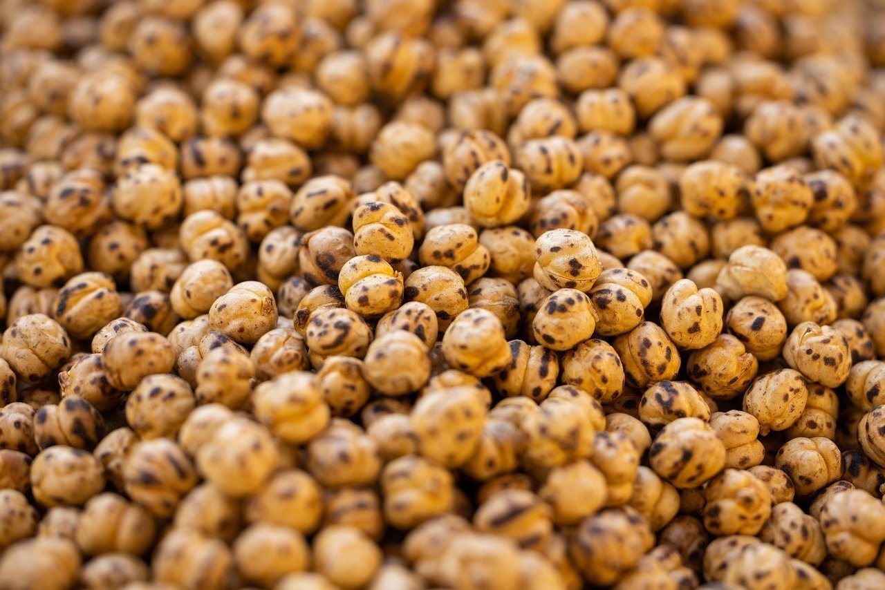 Seja em forma de homus, saladas, pratos quentes ou até mesmo sobremesas, o grão-de-bico continua conquistando espaço na culinária global. Incorporá-lo à dieta é uma excelente escolha para melhorar a saúde e diversificar o cardápio com sabores ricos e nutritivos. Reprodução: Flipar