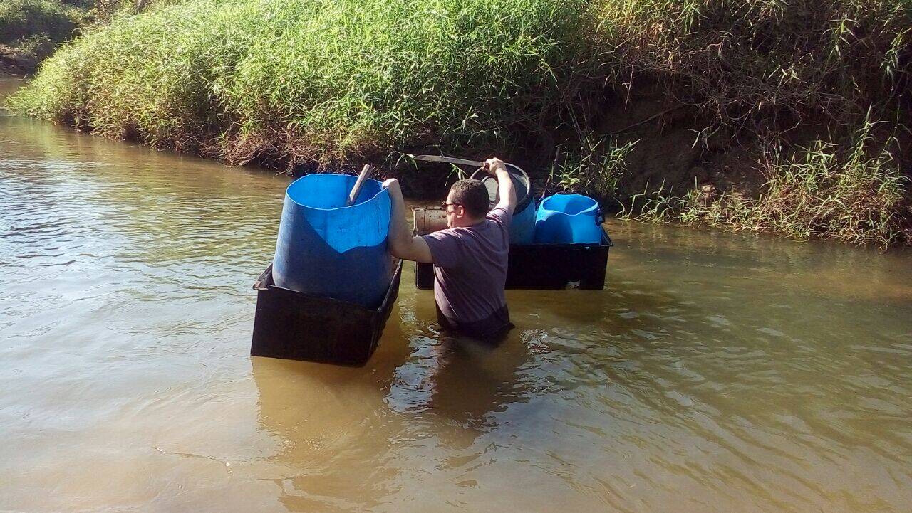 Polícia Militar Ambiental teve trabalho para recolher 1,5 tonelada no meio da mata no Parque Largamar. Foto: Divulgação/Polícia Militar Ambiental