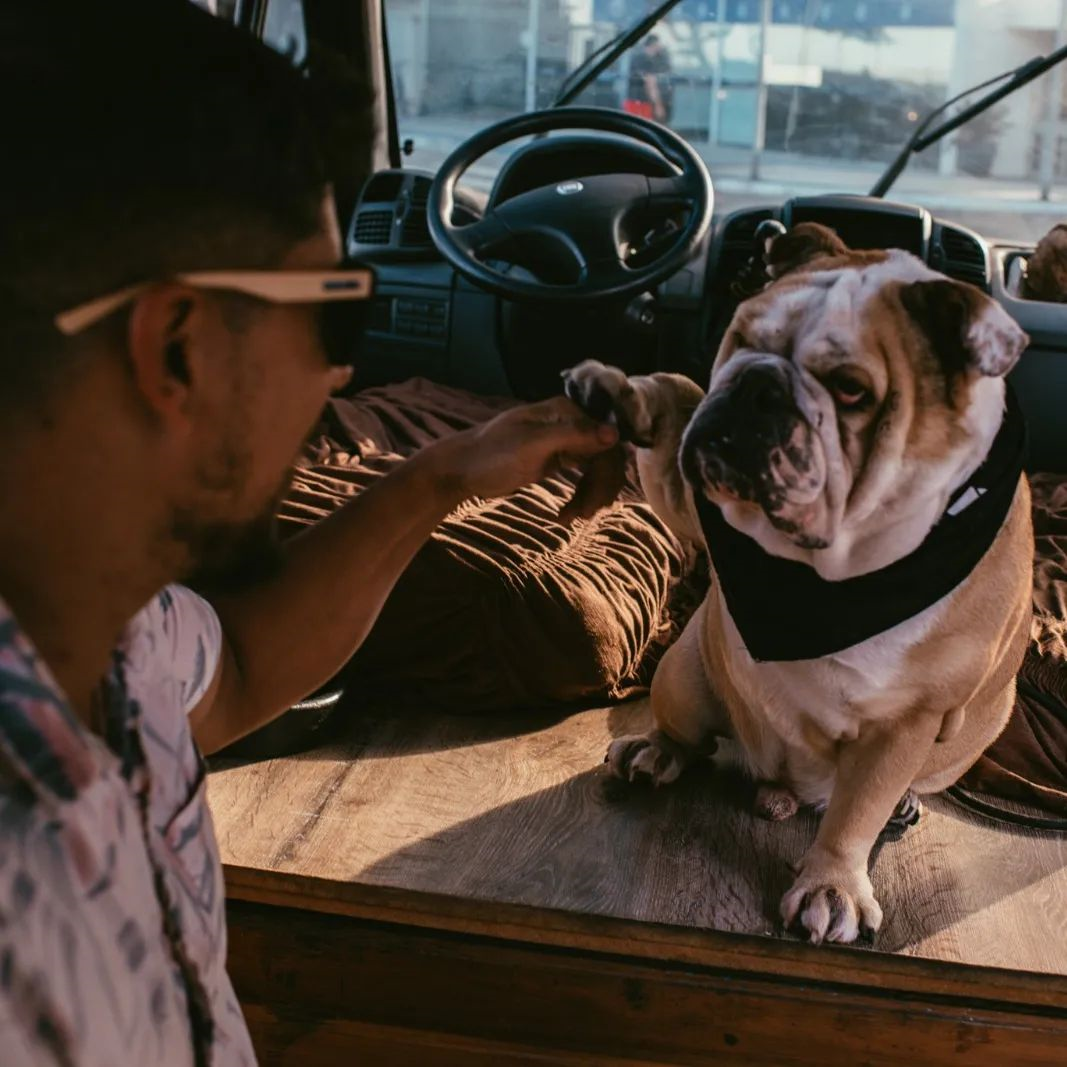 Diego decidiu proporcionar uma vida plena ao companheiro canino, Gordo, após descobrir que pet estava com doença rara Reprodução/Instagram