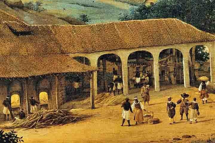 Na atualidade, o Brasil é o maior produtor de cana-de-açúcar do mundo. Afinal, o ciclo desse alimento no país foi um período que se estendeu do século XVI ao século XVIII.  Reprodução: Flipar