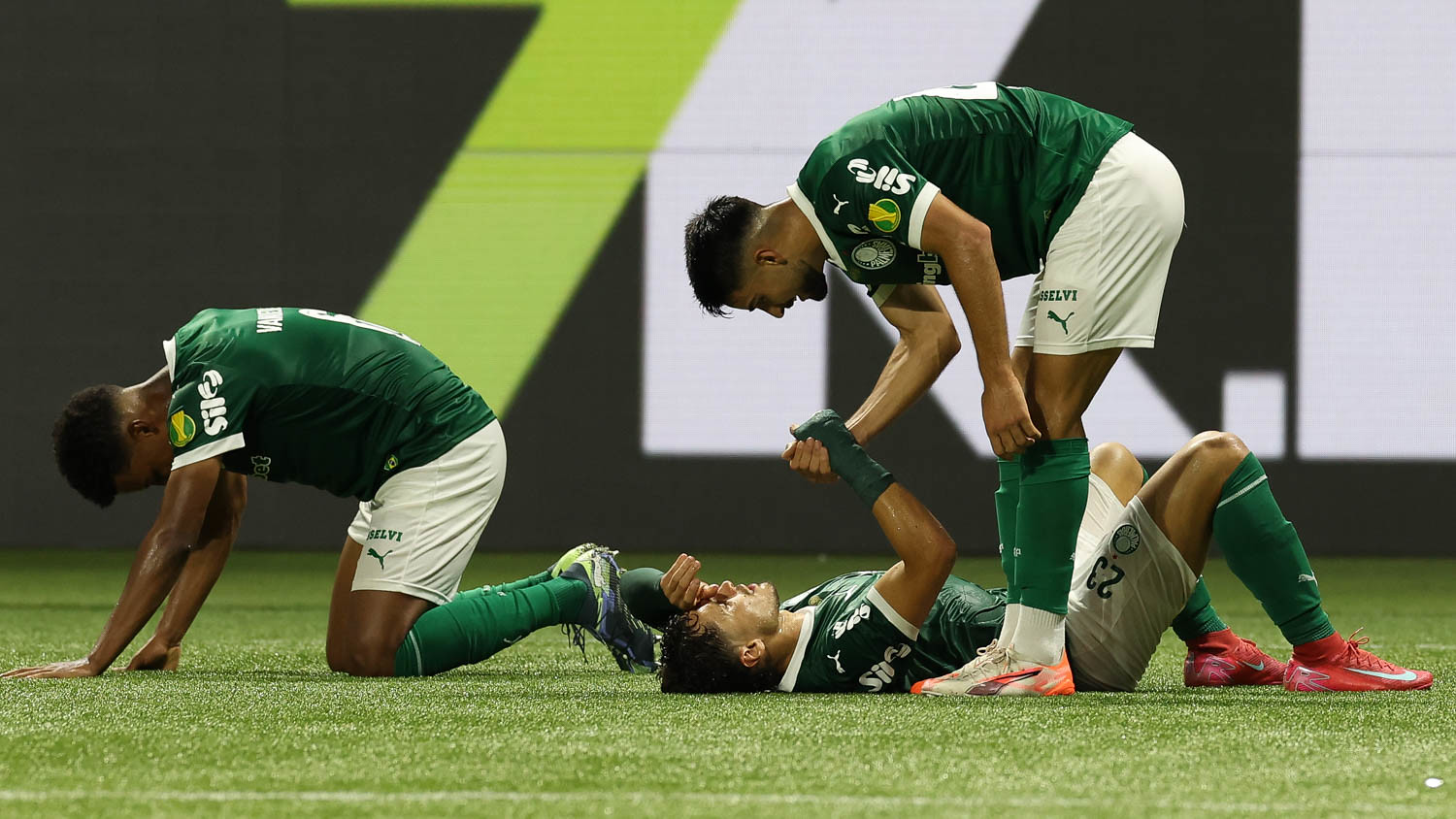 Palmeiras x São Paulo. Foto: Cesar Greco/Palmeiras