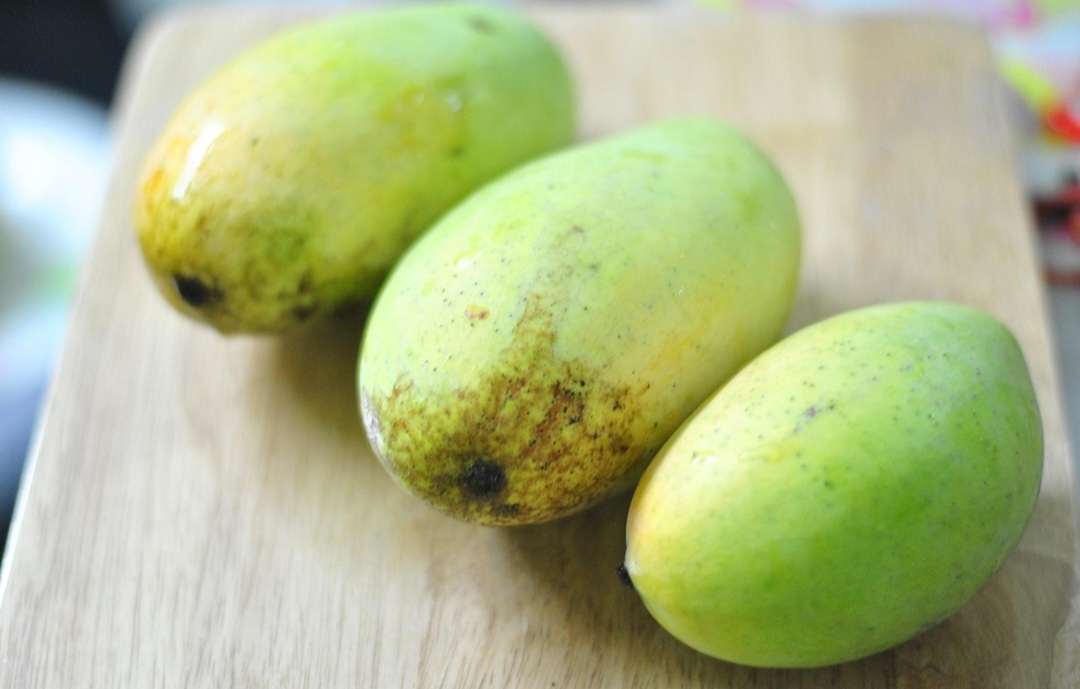 Economicamente, o cultivo da manga gera empregos, impulsiona a economia local e internacional, e contribui para a balança comercial brasileira. O caroço deste fruto pode ser plantado para gerar uma nova mangueira.  Reprodução: Flipar