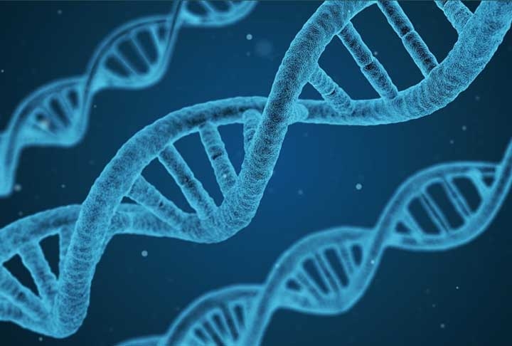 Menos descendentes significam menos oportunidades de transmitir genes adiante. No entanto, há outra forma de garantir o sucesso evolutivo: em vez de ter muitos filhotes, uma fêmea pode investir mais energia e tempo nos cuidados com poucos deles, aumentando a probabilidade de que sobrevivam e também se reproduzam.
 Reprodução: Flipar