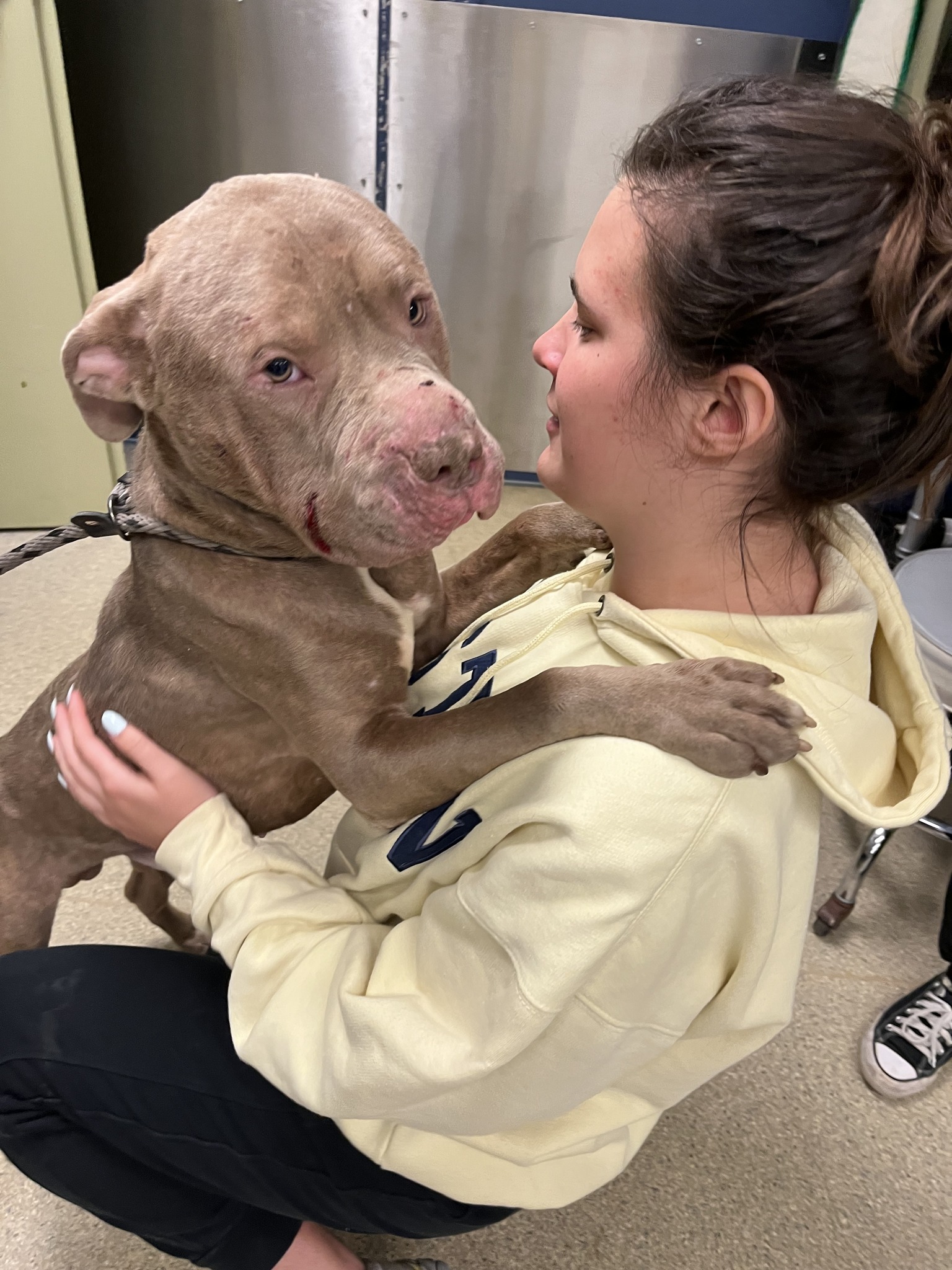 Orville ao chegar pela primeira vez na clínica veterinária. Foto: Reprodução/Stray Rescue of St. Louis