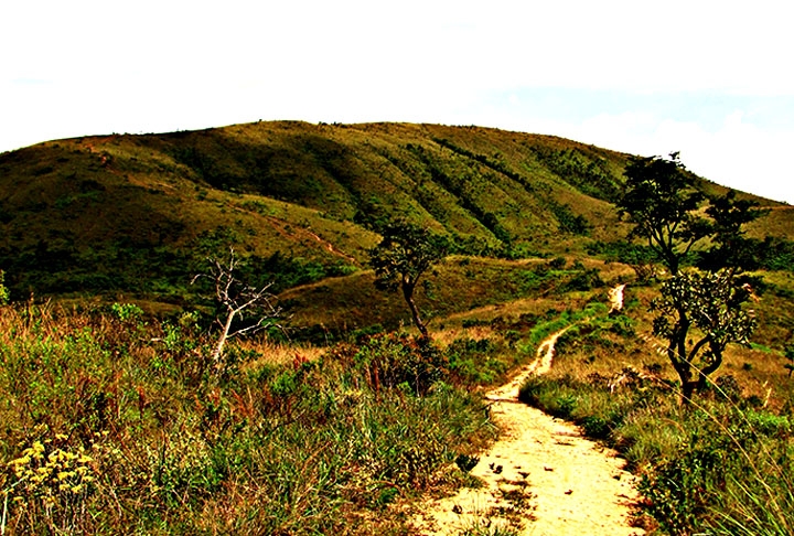 O Parque Estadual tem uma área de 1.927,70 hectares, algo em torno de 19,3 km² , entre as cidades de Caieiras e Franco da Rocha. É uma área de preservação ambiental, única remanescente de Cerrado nas redondezas.  Reprodução: Flipar