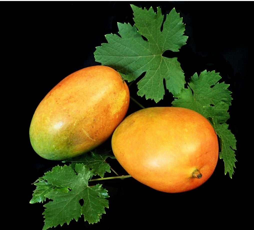 Dessa forma, ela é uma excelente fonte de vitamina C, que é um poderoso antioxidante e ajuda a fortalecer o sistema imunológico. 
 Reprodução: Flipar