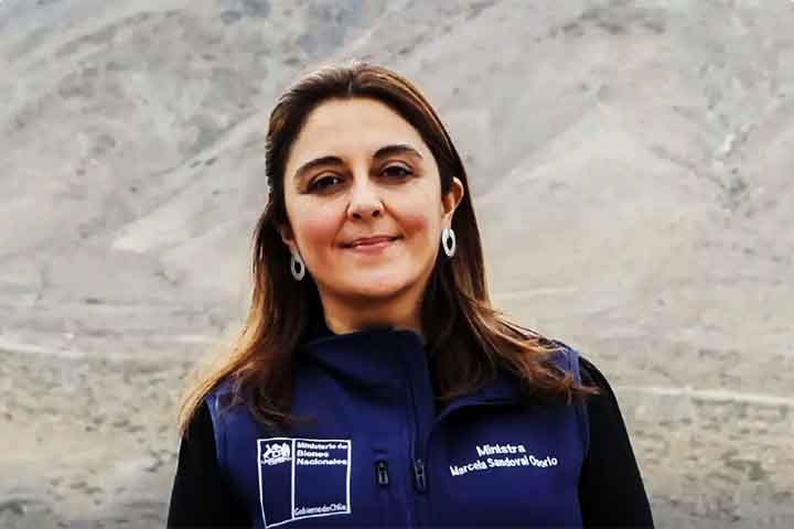 Depois de toda a repercussão do vandalismo, a ministra dos Bens Nacionais do Chile, Marcela Sandoval, se manifestou anunciando que medidas judiciais serão tomadas contra os responsáveis. Reprodução: Flipar