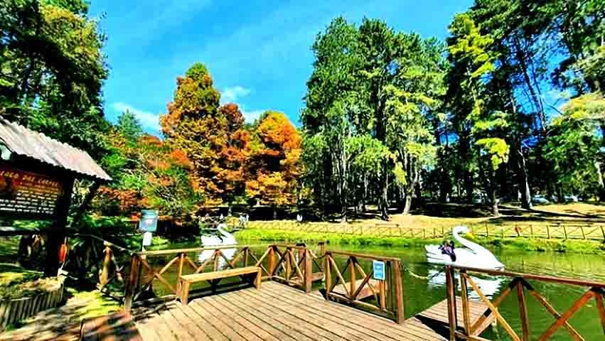 Para quem busca contato com a natureza, as opções são muitas. O Horto Florestal (foto) oferece trilhas, cachoeiras e ar puro, enquanto o Parque Amantikir surpreende com jardins inspirados em diferentes partes do mundo, perfeitos para caminhadas. Reprodução: Flipar