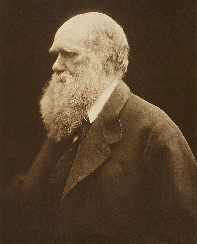 Charles Robert Darwin nasceu em uma família próspera. Robert, seu pai, era um médico de carreira bem-sucedida. 
 Reprodução: Flipar