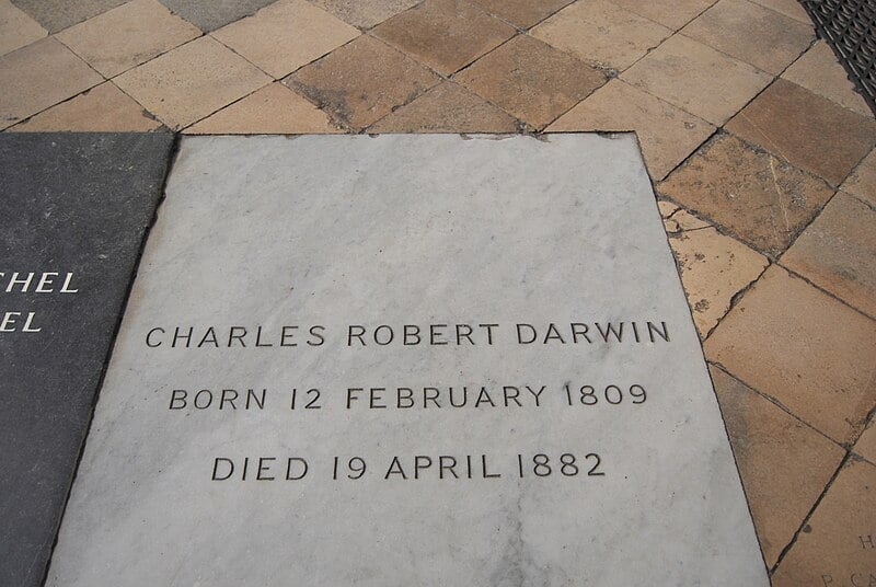 Darwin morreu em 19 de abril de 1882. Segundo diagnóstico da época, ele tinha uma doença do coração. Há suspeita entre os estudiosos que o naturalista sofresse de doença de chagas crônica. A tese baseia-se em um trecho de diário escrito por ele relatando ter sido mordido por um barbeiro na cidade de Mendoza, na Argentina, em 1835. Ele está enterrado na Abadia de Westminster, em Londres.
 Reprodução: Flipar