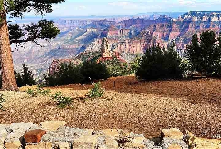 Além de sua importância geológica, o Grand Canyon abriga uma rica biodiversidade, com condições favoráveis para o desenvolvimento de diversas espécies de plantas e animais. Reprodução: Flipar