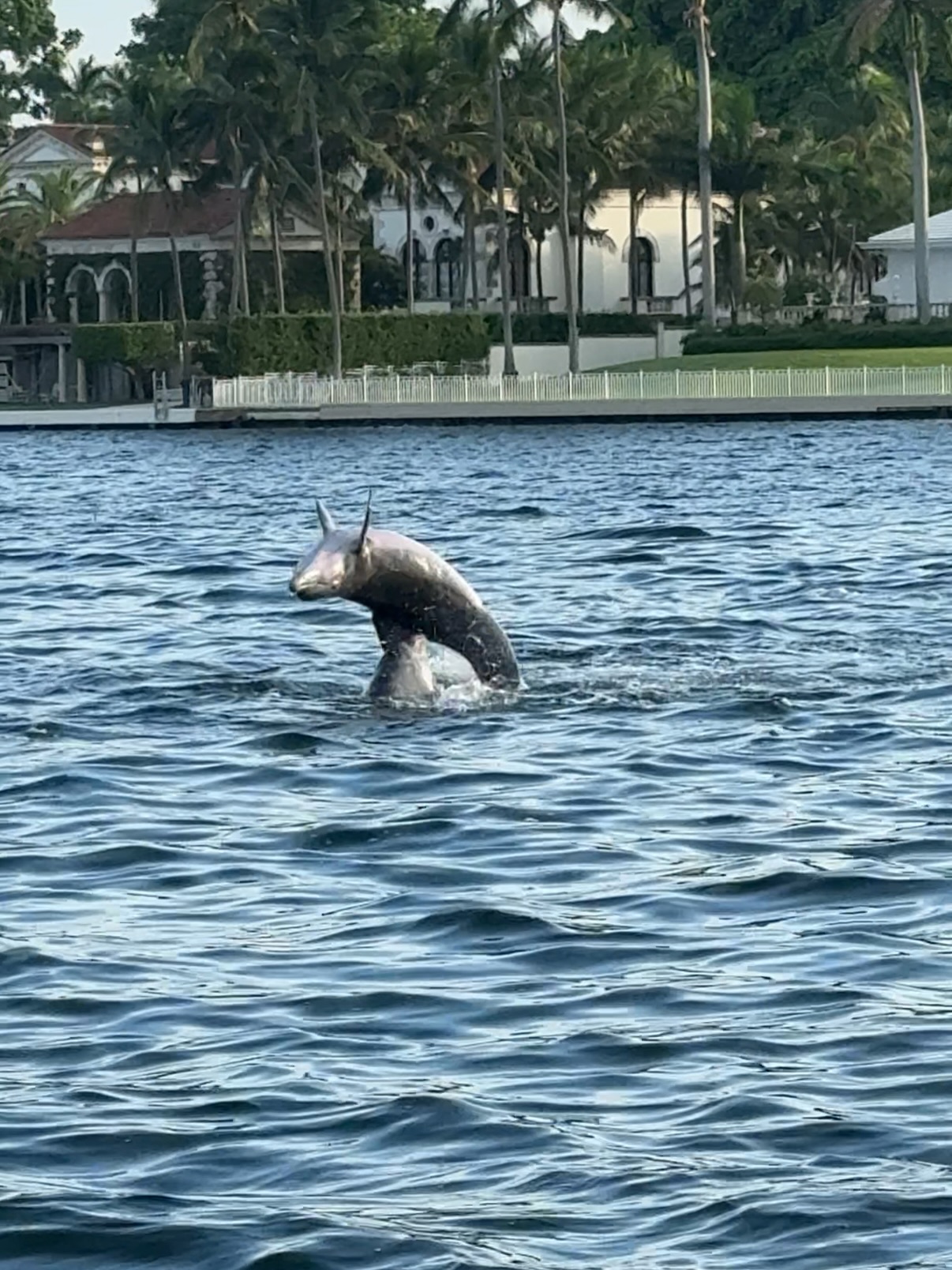 Fotos do álbum compartilhado por Gisele Bündchen. Foto: Instagram/@gisele