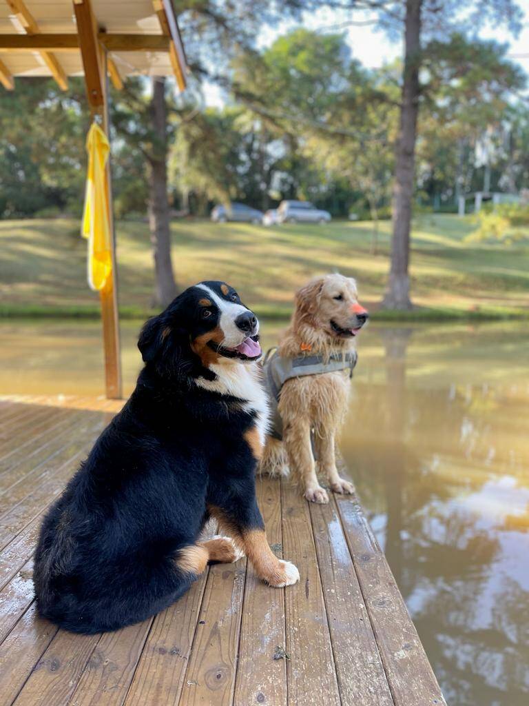 A casa flutuante é pet friendly; cães que não gostam de água podem descansar na varanda e correr pela grama. Foto: Divulgação