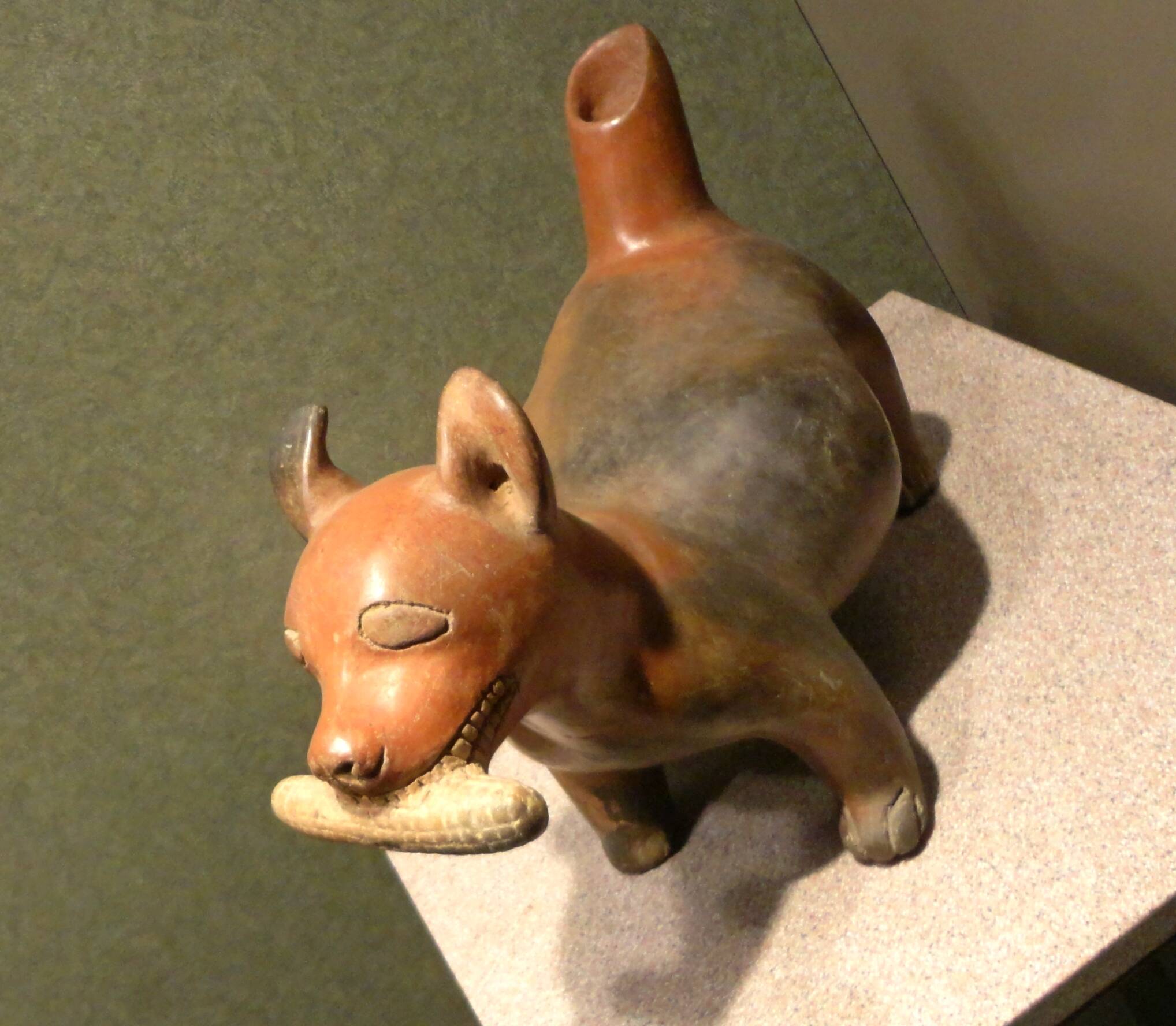 Techichi, raça de cachorros que era adorada por povos antigos do México . Foto: Wikipedia Creative Commons
