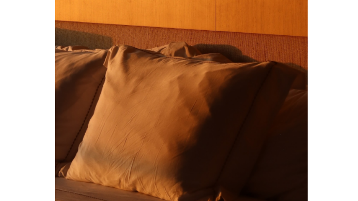 Fernanda Paes Leme aluga casa em Salvador (BA). Foto: Reprodução/Instagram/@fepaesleme