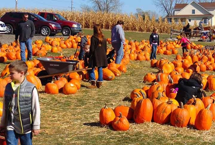 A abundância de abóbora na época da colheita nos Estados Unidos, que coincide com o período do Dia das Bruxas (outono), fez com que o alimento fosse incorporado ao Halloween em terras americanas.
 Reprodução: Flipar