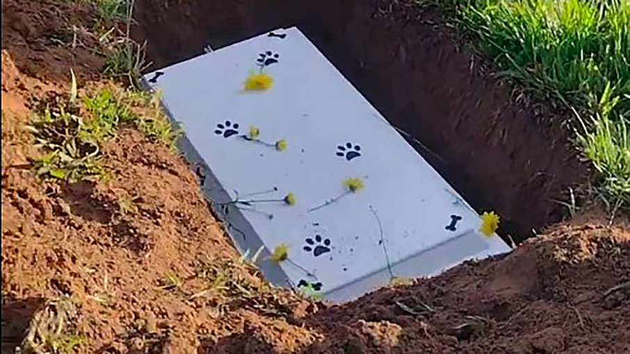 O caixão de Gordo estava enfeitado com patas de cachorro. Foto: Reprodução/Instagram 10.08.2023