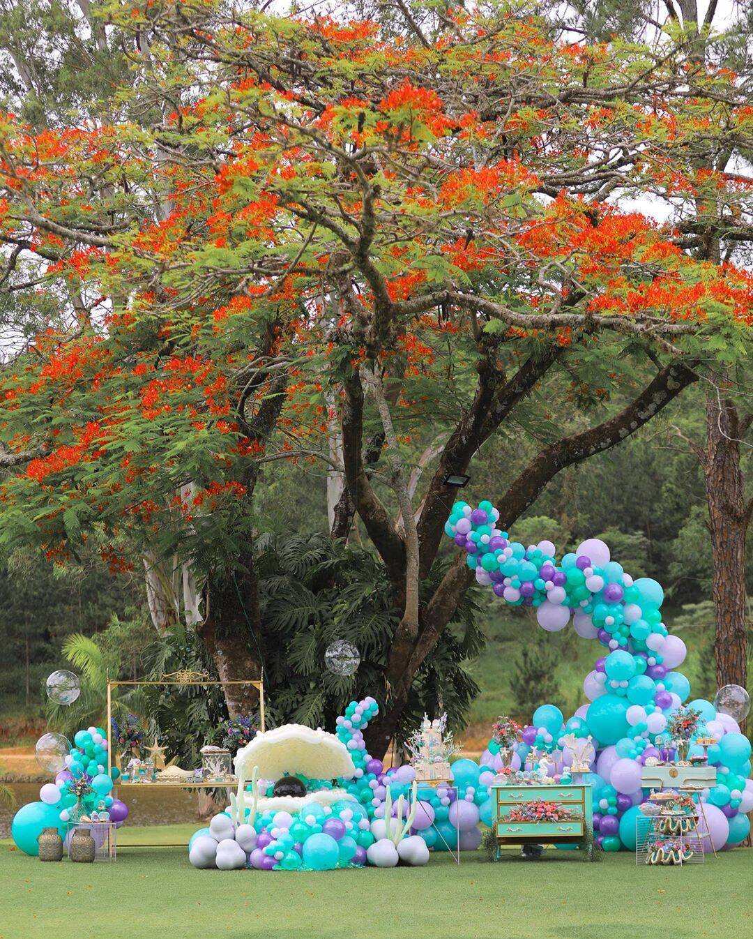 Chá revelação. Foto: Reprodução/Instagram/anapaulasiebert