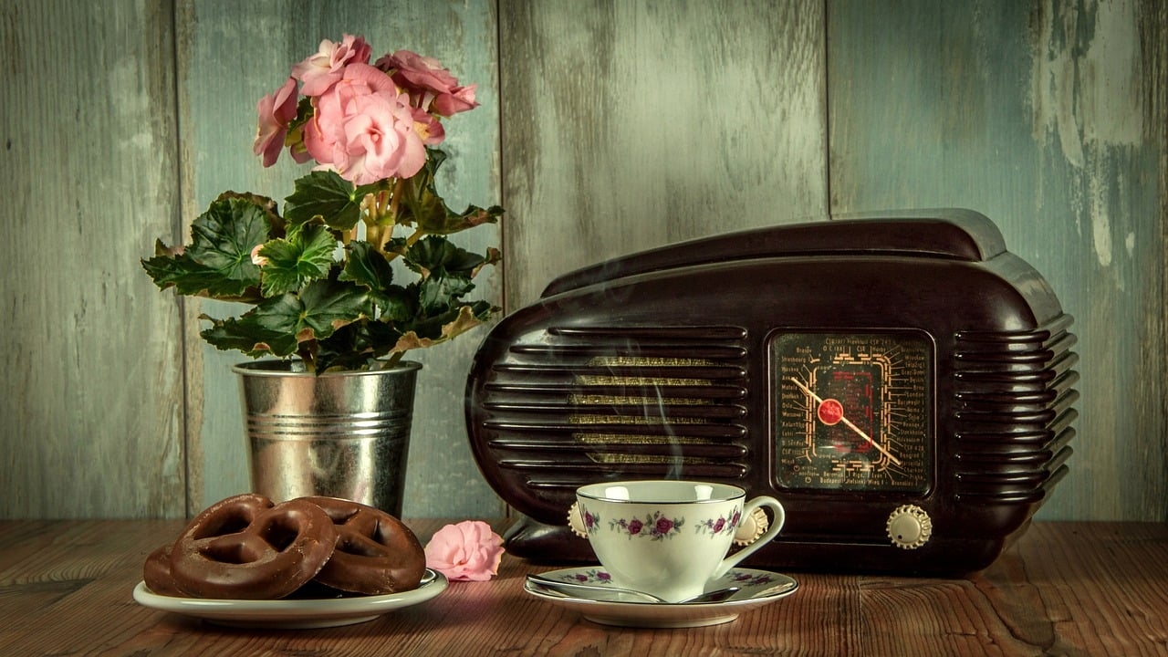 Nos anos 1990, o rádio começou a se adaptar à era digital. A introdução de transmissões via satélite e a criação de estações de rádio online permitiram que o rádio alcançasse uma audiência global. Além disso, os podcasts se tornaram uma forma popular de conteúdo de áudio, mostrando como o rádio pode evoluir e se manter relevante na era digital. Reprodução: Flipar