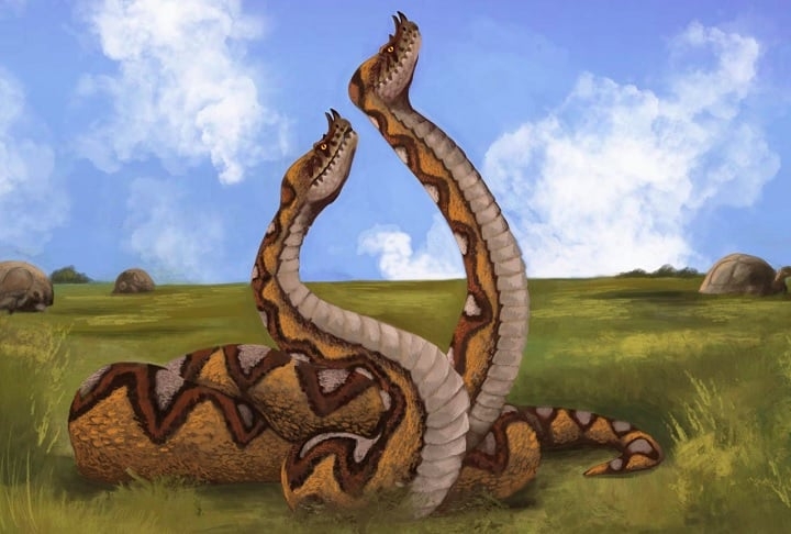 Laophis crotaloides – Essa cobra, que podia chegar a quatro metros de comprimento, viveu nas planícies da Grécia há cerca de 4 milhões de anos. Reprodução: Flipar