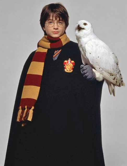 Em uma das histórias mais famosas da cultura pop, uma coruja ganhou popularidade entre os fãs: a Hedwig. Reprodução: Flipar
