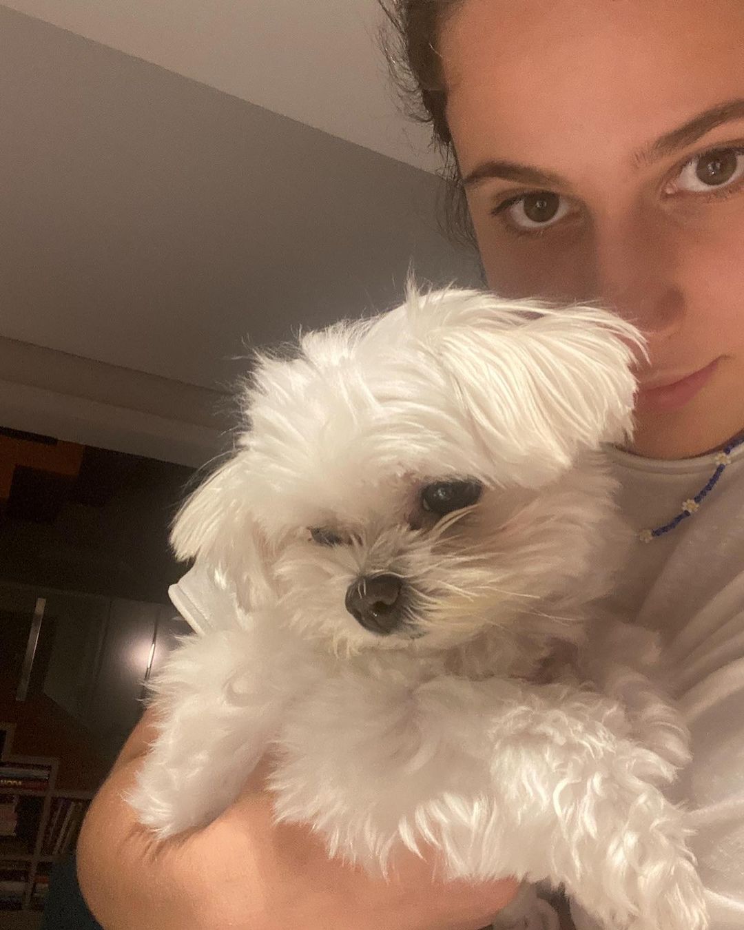 Sushi, cão falecido de Claudia Raia Instagram/@claudiaraia - 17.04.2024