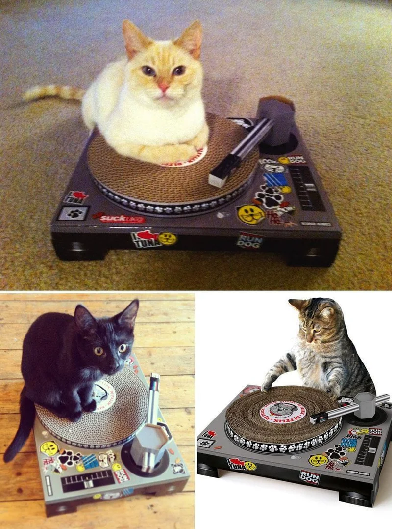 Deck de DJ para gatos Reprodução