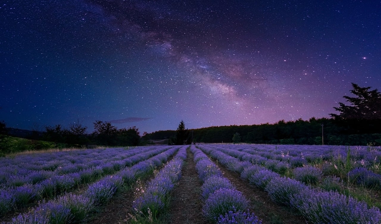 Astronomia é a ciência que estuda todos os corpos celestes do Universo. Já a Astrologia é um estudo dos supostos efeitos que os astros exercem sobre as pessoas. Uns acreditam, outros não.   Reprodução: Flipar