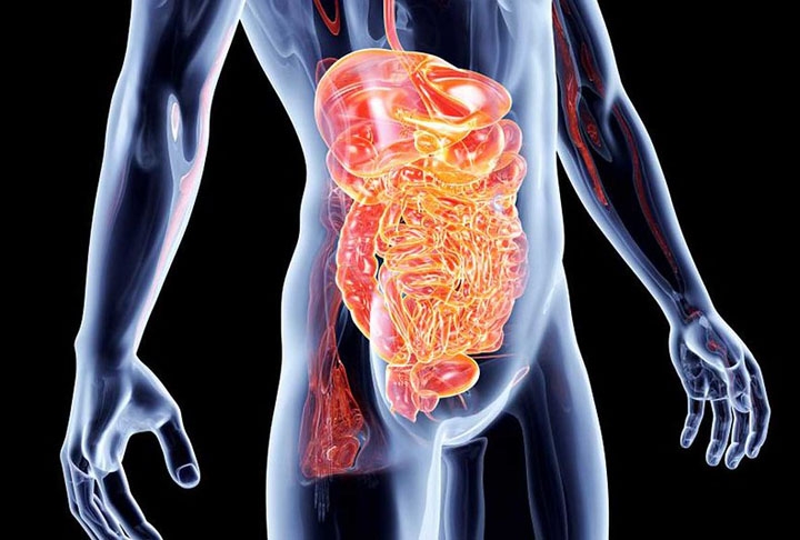 Além dos carboidratos, a mandioca também contém uma quantidade significativa de fibras, o que ajuda a melhorar o trânsito intestinal e promove uma digestão mais saudável. Reprodução: Flipar