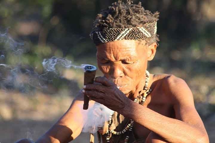 Também é comum em certas comunidades indígenas americanas e em algumas regiões africanas e asiáticas, onde o uso é associado a espiritualidade ou práticas culturais.
 Reprodução: Flipar