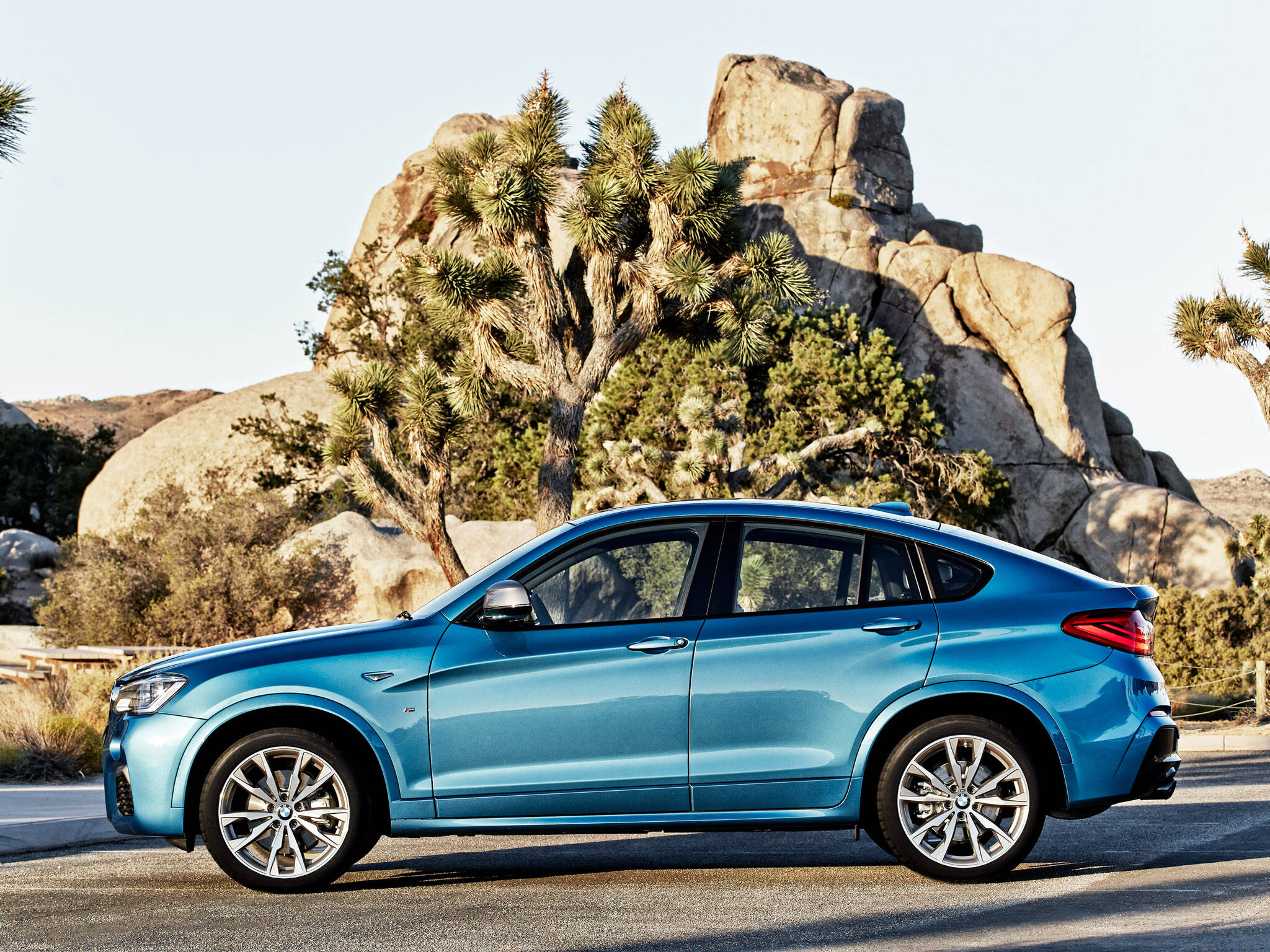 BMW X4 xDrive28i XLine. Foto: Divulgação