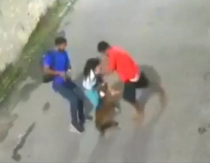Um caso ocorrido em 2022, na Baixada Fluminense, chocou o público. No vídeo, é possível ver o avanço de um pitbull sobre um garoto de 10 anos, que foi socorrido pelo irmão e por um vizinho. 