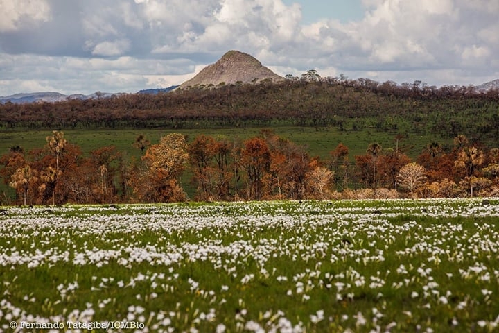 8ª- Parque Nacional da Chapada dos Veadeiros – Fica em Goiás e tem 655 mil m².  Declarado Patrimônio Mundial Natural pela Unesco. Reprodução: Flipar