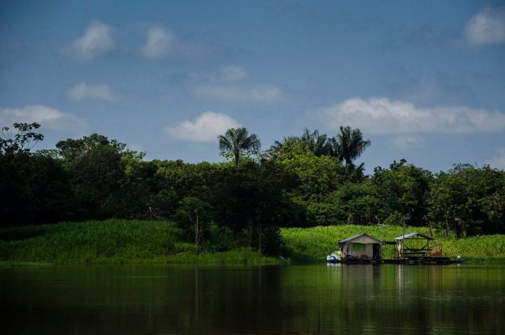 Lago do Janauari (Manaus): Famoso por sua rica biodiversidade, esse lago oferece um refúgio para quem busca contato com a natureza.  Reprodução: Flipar