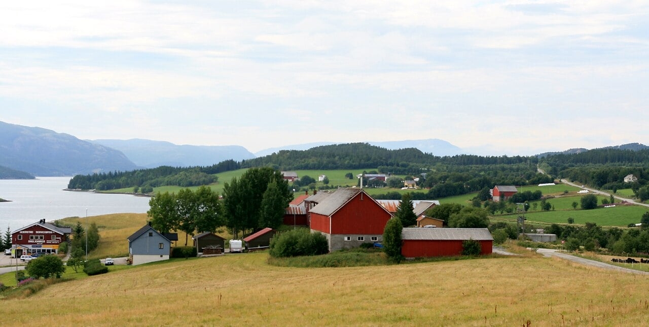 O caso ocorreu em Trondelag, no centro da Noruega. A águia causou vários ferimentos no rosto do bebê e só o soltou quando foi morta pelo guarda-florestal Per Kare Winterdahl. Ele disse, perplexo, que a águia se comportou como se a criança fosse uma presa.  Reprodução: Flipar