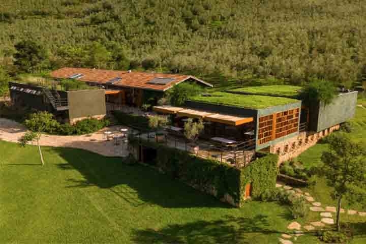 Outro fator importante é a presença da Oliq, produtora de azeites. Com mais de 10 mil pés de oliveiras de tipos diferentes, a área pode ser visitada pelo valor de R$ 59 por pessoa, com direito a vista das plantações e dos maquinários. Reprodução: Flipar