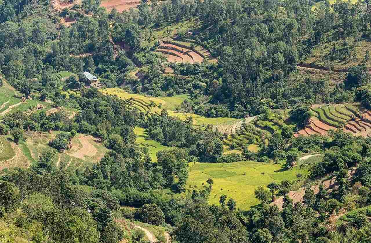 Com uma economia predominantemente agrícola, cerca de 70% da mão de obra está envolvida na agricultura, vital para o sustento da população. Reprodução: Flipar