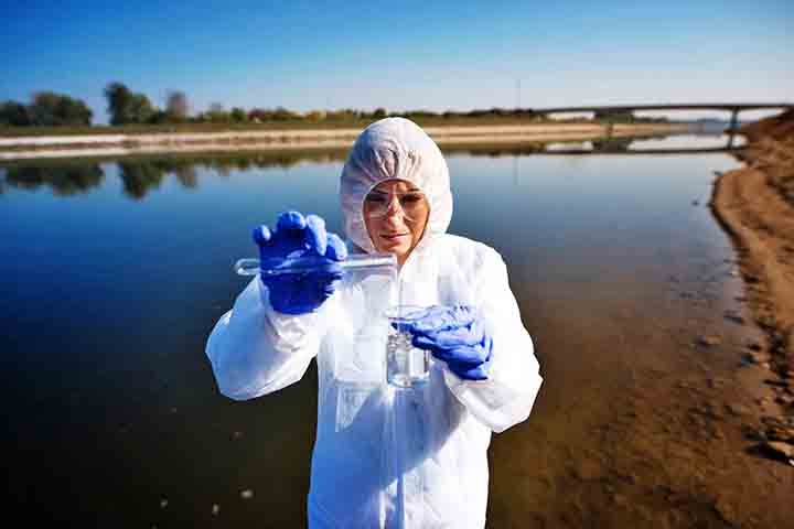 As condições de um lago (como a cor da água, presença de algas, temperatura) são ótimos indicadores da saúde ambiental de toda a região ao redor. Eles ajudam cientistas a entender o impacto das mudanças climáticas e da ação humana.

 Reprodução: Flipar
