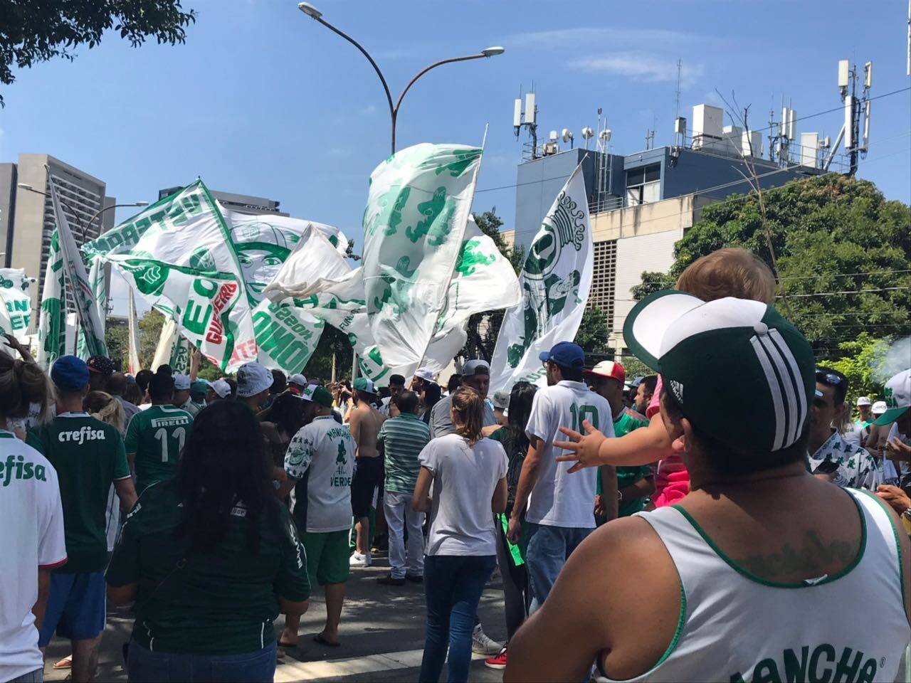 Mancha Alvi Verde, torcida do Palmeiras, comparece ao CT do clube antes de Clássico. Foto: Divulgação