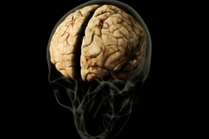 Apesar de não ser detectado diretamente no sangue, traços genéticos do parasita foram identificados no líquido cerebrospinal.  Reprodução: Flipar
