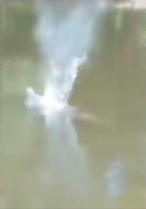 Imagens mostram que o bicho se debateu na água após ser atingido. 