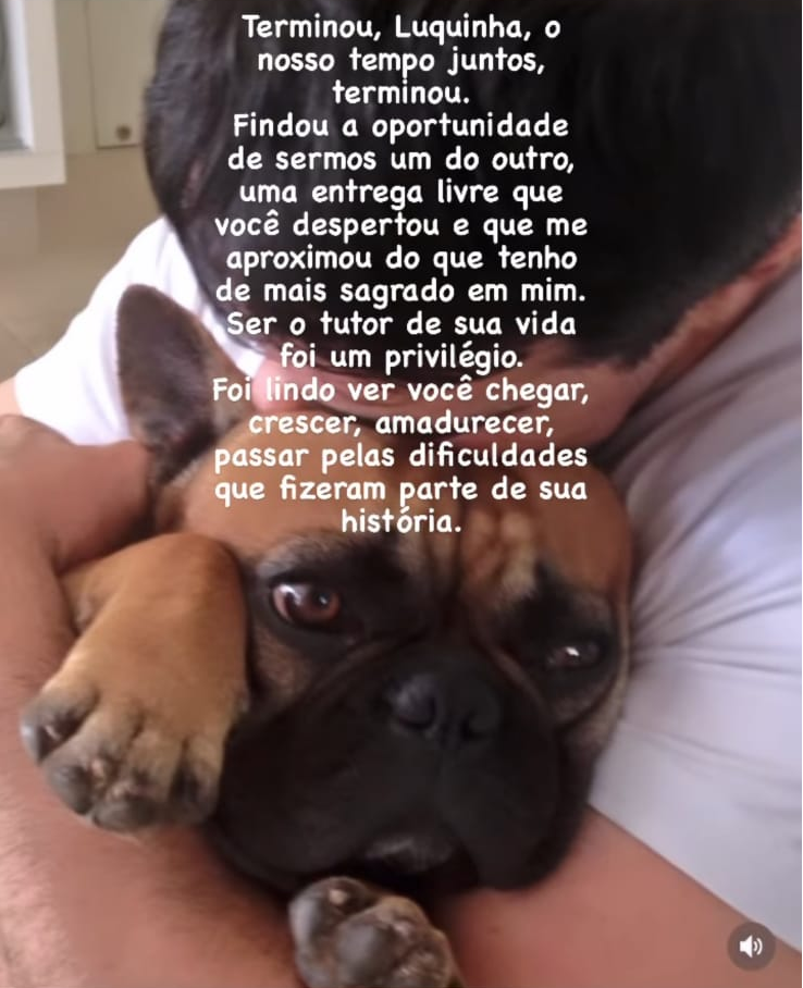 Padre Fabio de Melo escreve mensagem de despedida para cachorro. Foto: Reprodução/Instagram