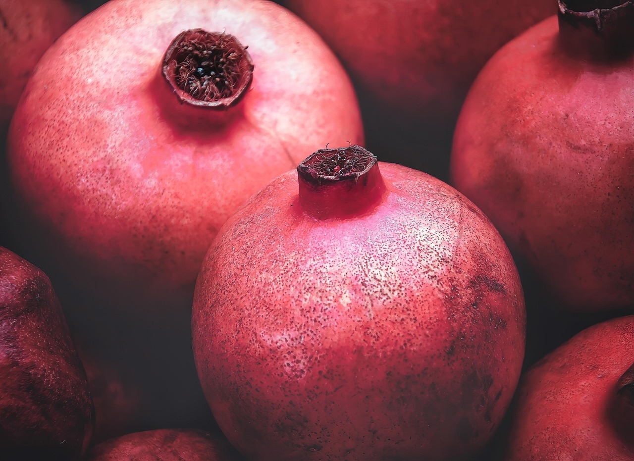 Romã (Punica granatum) - Nativa do Irã e do norte da Índia,  foi cultivada por milhares de anos em toda a bacia do Mediterrâneo. Típica de climas subtropicais e temperados, com verões quentes e secos e invernos moderados. É resistente a solos pobres e secos, mas cresce melhor em solos bem drenados e ensolarados. Reprodução: Flipar