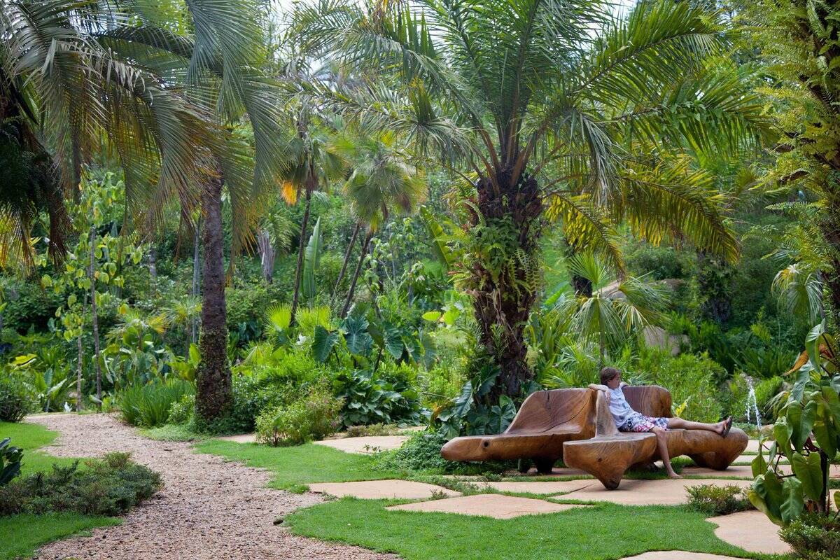 Estima-se que o Instituto Inhotim possui mais de 1,4 mil palmeiras por seus 250 hectares. Foto: Twitter/Inhotim