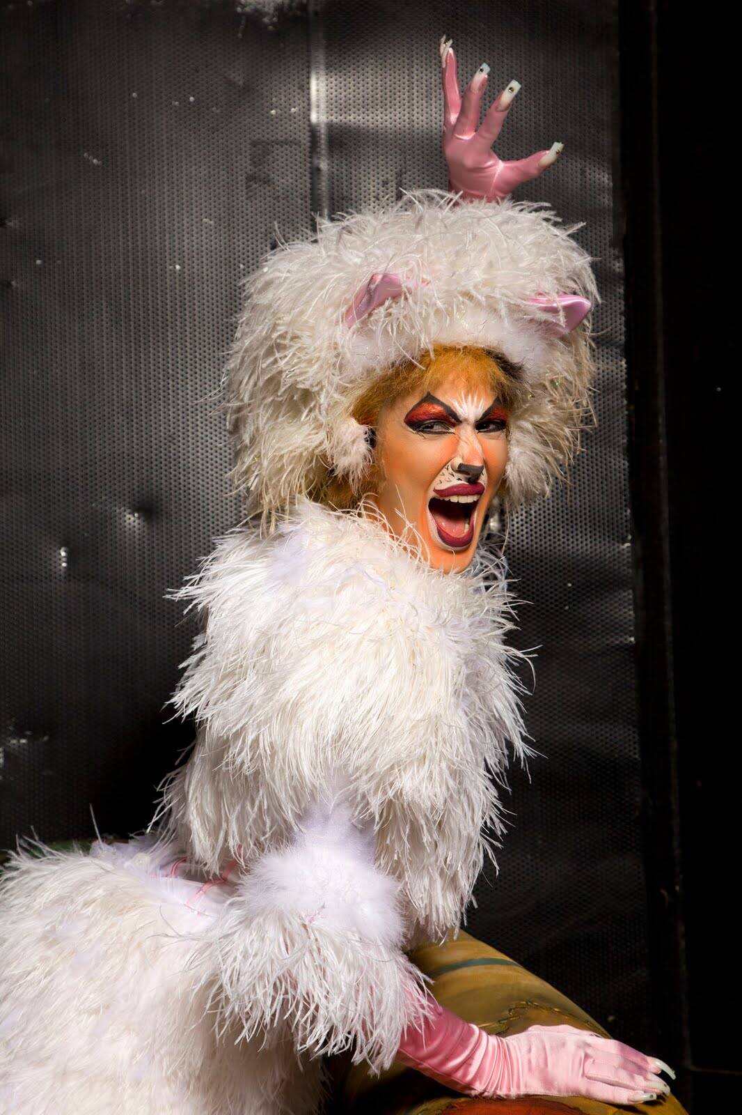 "Cats". Foto: Divulgação