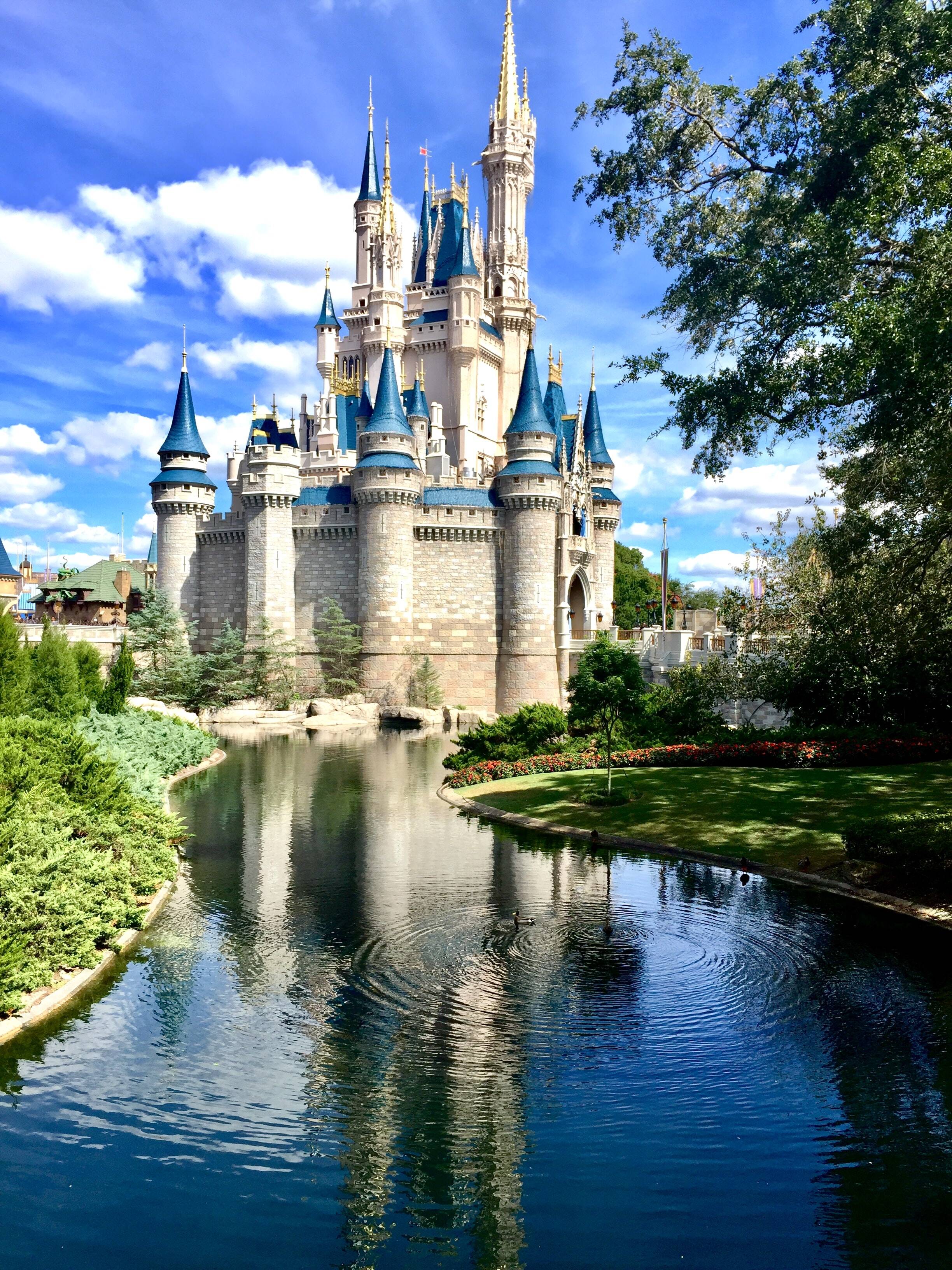 Walt Disney World, Orlando. Foto: Jorge Martinez / Unsplash