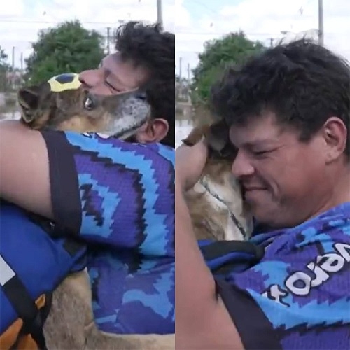 Uma imagem que viralizou e comoveu muita gente essa semana mostra um dos voluntários encontrando o próprio cachorro em meio às inundações. Reprodução: Flipar