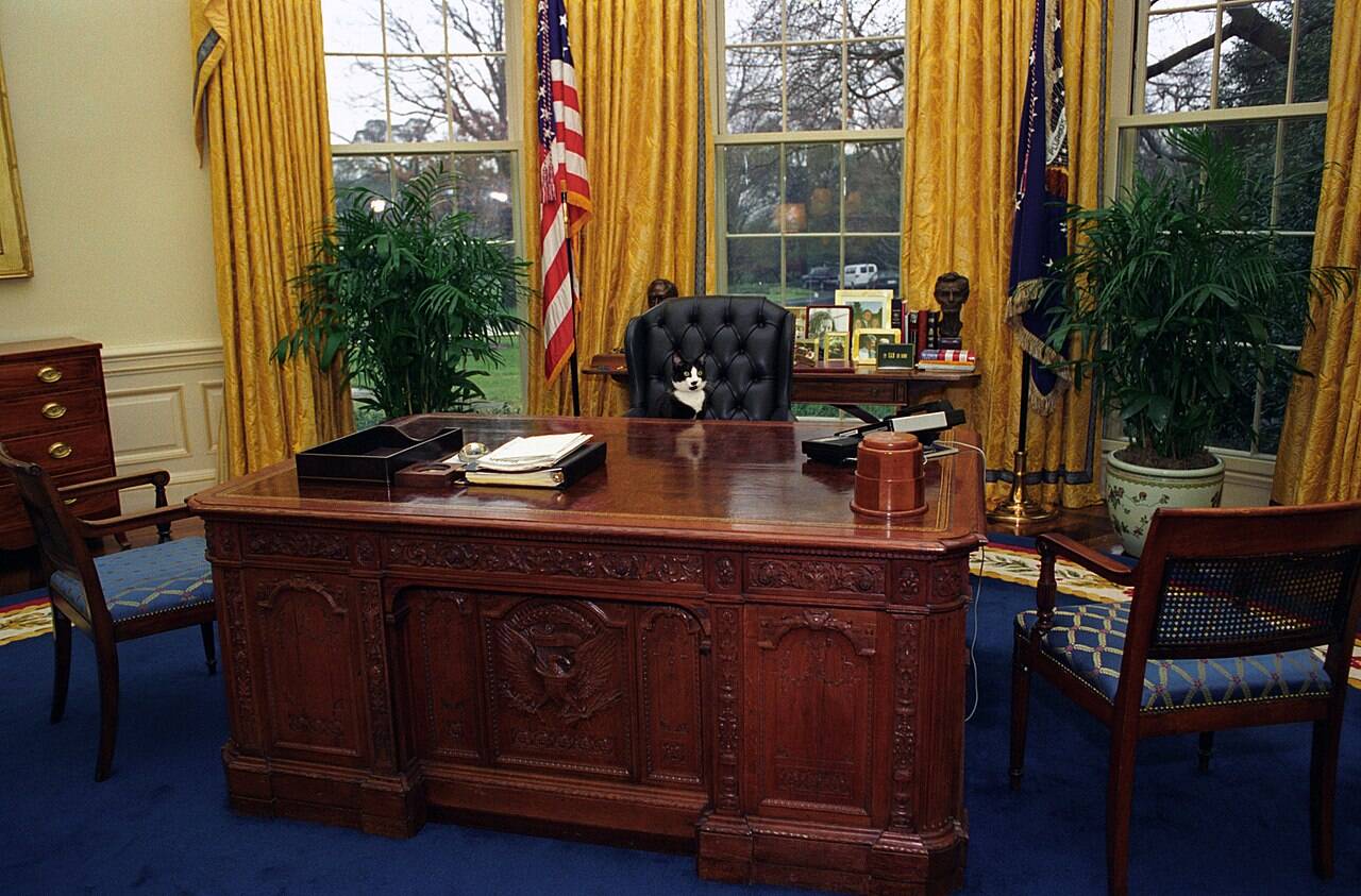 Socks sentado à mesa do presidente dos Estados Unidos. Foto: The U.S. National Archives